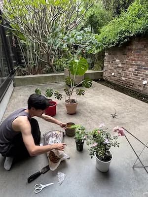 My Plants