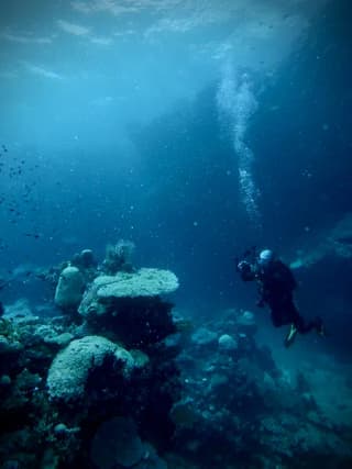 Scuba Diving