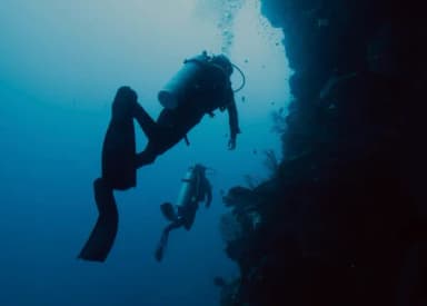 Scuba Diving