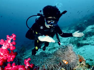 Scuba Diving