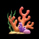 Scuba Diving